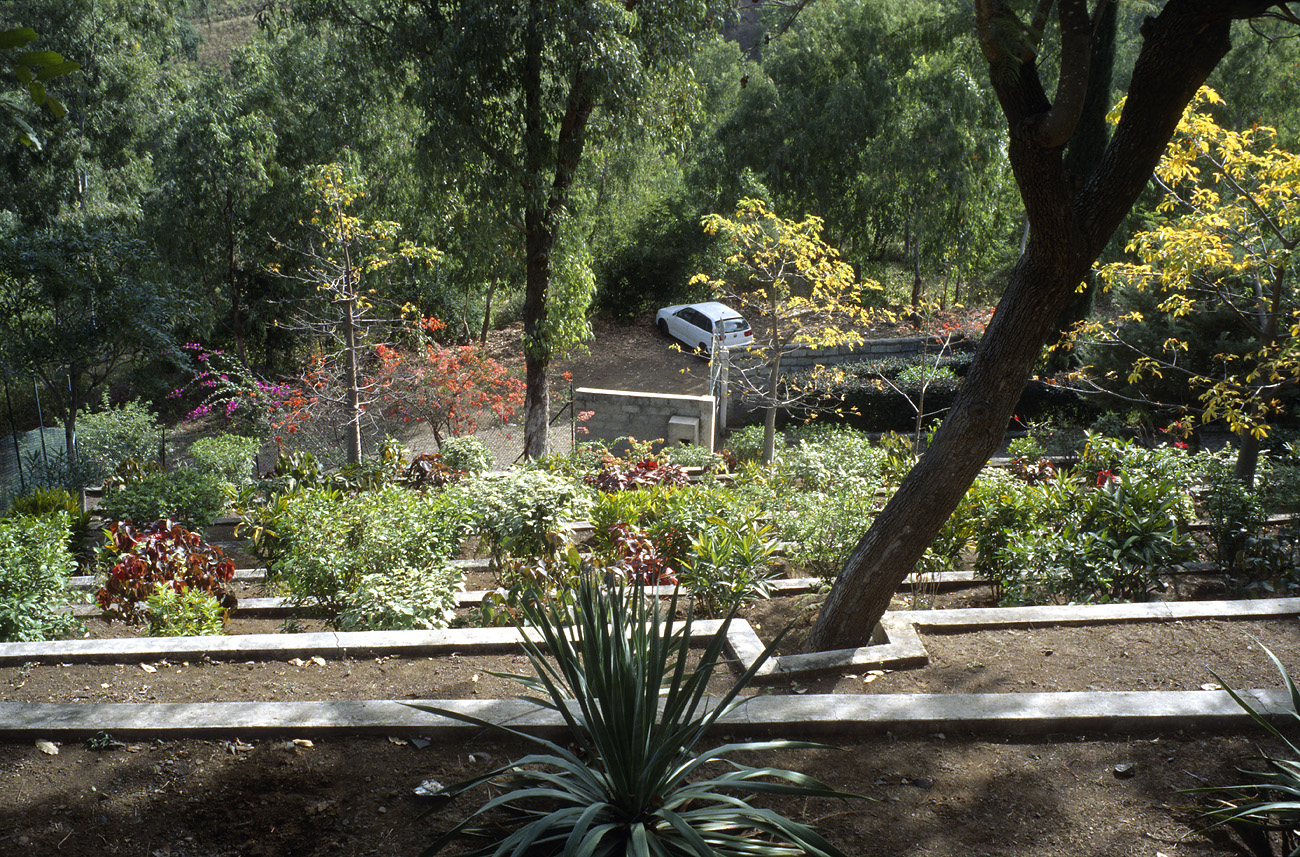 cve05_170l.jpg - Santiago San Jorge de Orgaos le jardin botanique