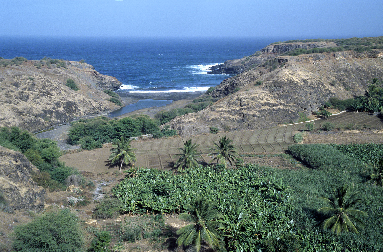 cve05_202m.jpg - Santiago côte est l'île est désertique, et l'eau ne se trouve en quantité suffisante qu'à la sortie des ribeiras, à leur arrivée à la mer. Les cultures et les bananeraies s'y concentrent