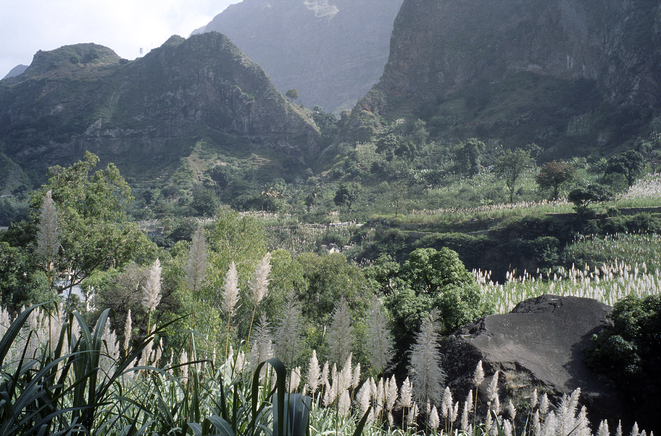 cve05_257l.jpg - Santo Antao ribeira de Paùl luxuriance