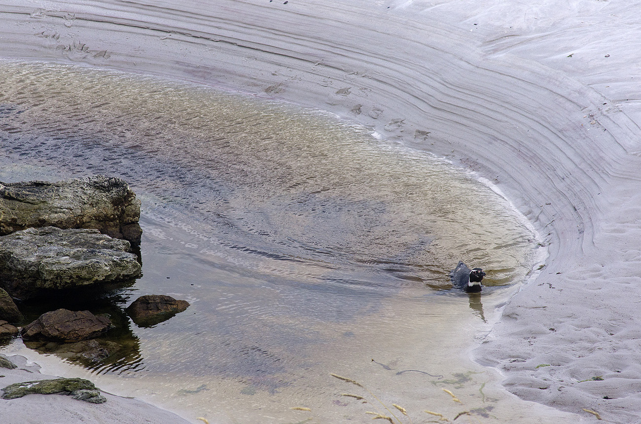 falk16-01-13_087-z.jpg