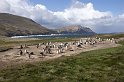 falk16-01-12_001