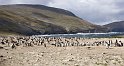 falk16-01-12_004-p
