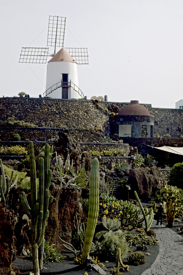 lanz08-03-14_003.jpg -  Lanzarote, mars 2008 Jardin de cactus fondé par Cesar Manrique