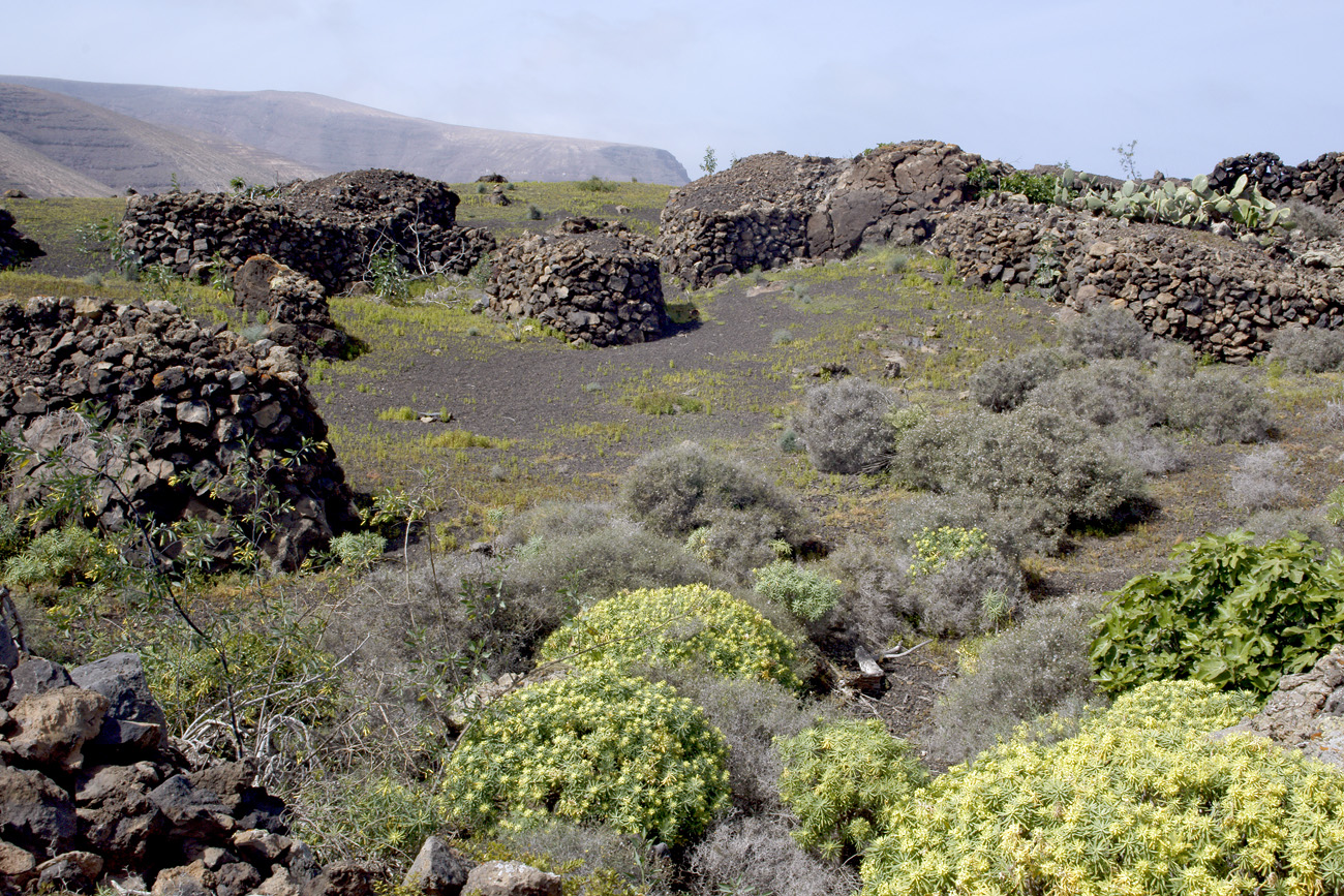 lanz08-03-16_066.jpg -  Lanzarote, mars 2008 Région nord-est