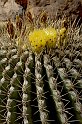 lanz08-03-14_010