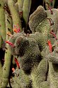 lanz08-03-14_014