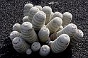 lanz08-03-14_020