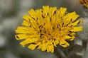 lanz08-03-14_078