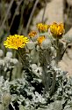 lanz08-03-14_079
