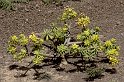 lanz08-03-14_085