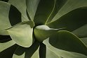 lanz08-03-16_014