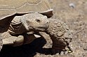 lanz08-03-16_024