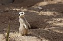 lanz08-03-16_027