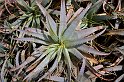 lanz08-03-18_019
