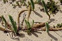 lanz08-03-19_056