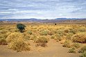mar04_3_028