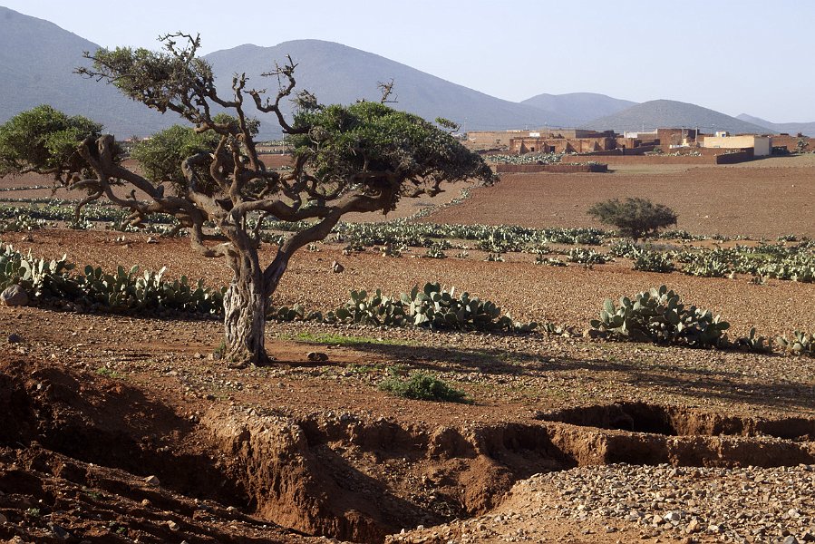 ma08-11-19_017.jpg - 19/11/2008 paysage entre Sidi Ifni et Guelmim