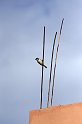 ma08-11-26_083