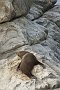 nz12-01-31_004-z