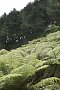 nz12-02-01_075
