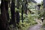 nz12-02-01_076