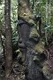 nz12-02-01_037