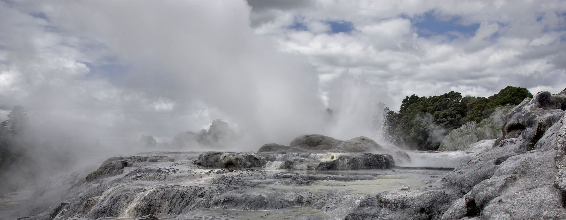 nz12-02-07_218-p.jpg - un superbe geyser, malheureusement environné  partiellement d'immeubles, car le site a été rattrapé par l'extension de la ville de Rotorua Rotorua District Whakarewarewa