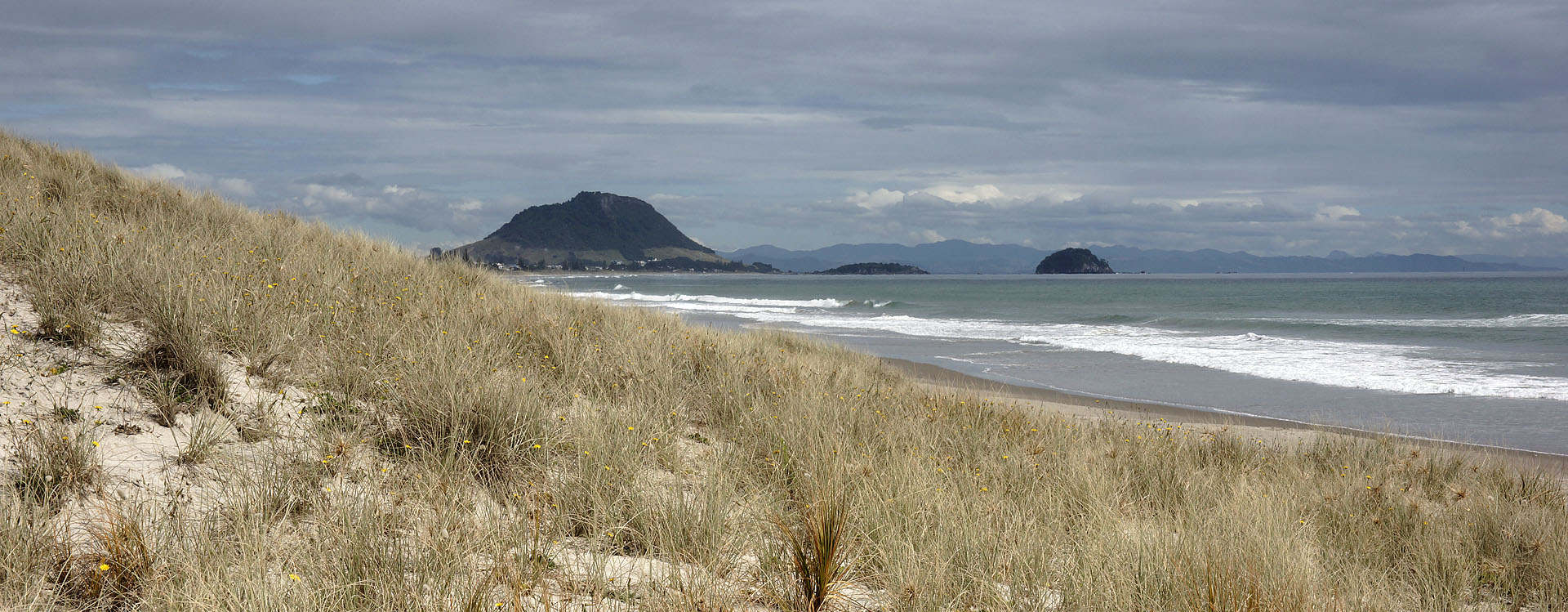 nz12-02-08_008-p.jpg - au fond, le mont Maunganui Tauranga District Papamoa Beach