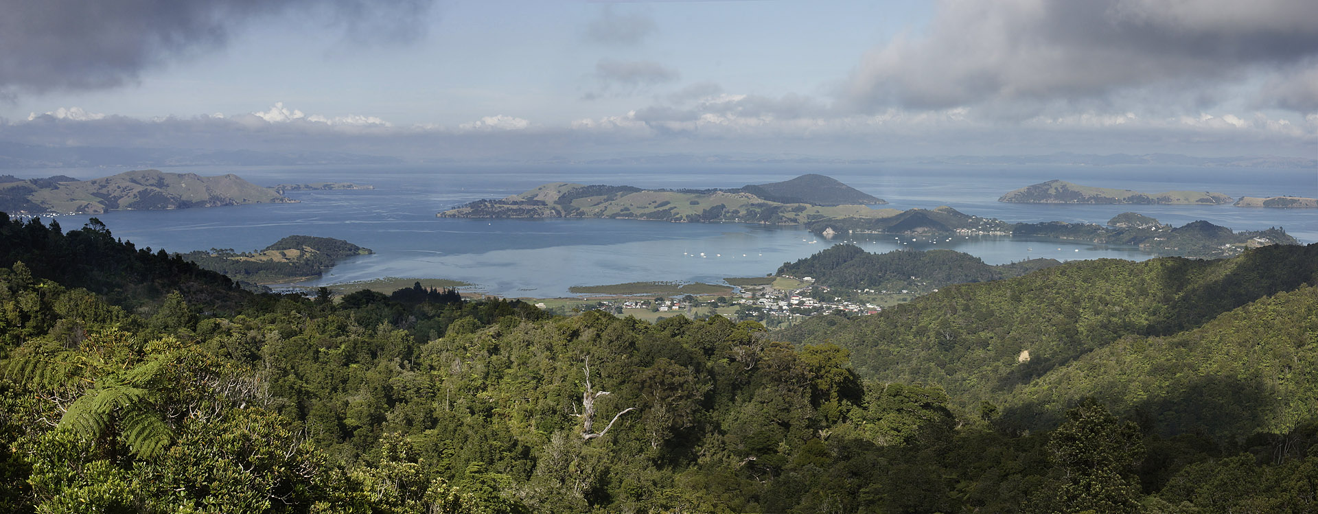nz12-02-10_041-42.jpg - Coromandel-Thames District baie de Coromandel