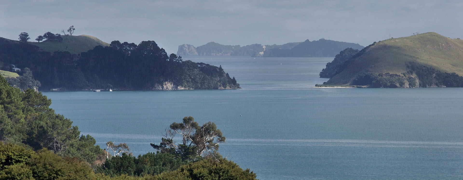 nz12-02-10_050-p.jpg - Coromandel-Thames District baie de Coromandel