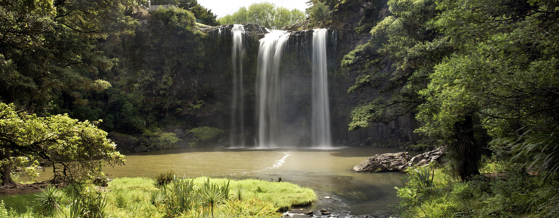 nz12-02-16_049-8-p.jpg - Whangarei Falls Whangarei District Whangarei