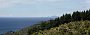 nz12-02-14_032-p