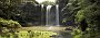 nz12-02-16_049-8-p