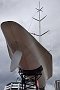 nz12-02-17_047-z2