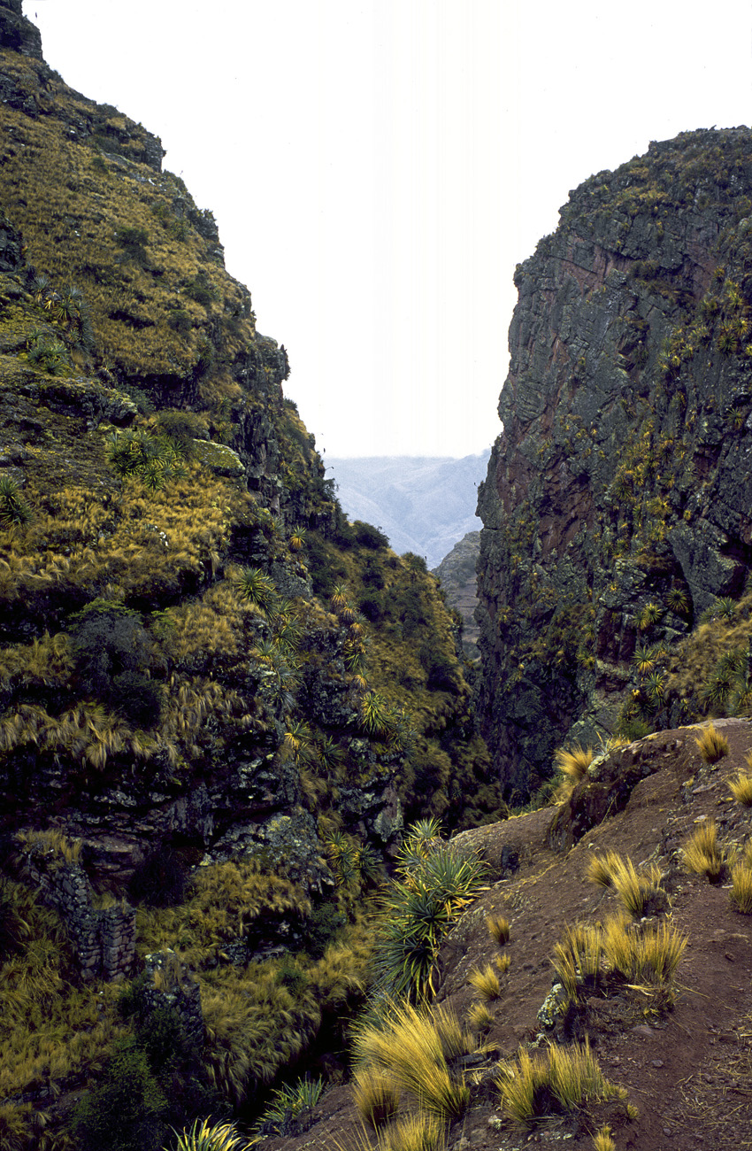 perou275.jpg - Vallée sacrée, septembre 1999, Pumamarca un défilé étroit emprunté par le sentier inca Elite Chrome 100 extracolor