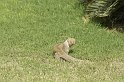 raj07-03-01_075