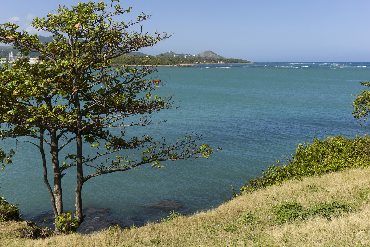 repdom14-01-13_020.jpg - République Dominicaine, janvier 2014 vue sur la baie depuis la fortaleza de San Felipe, et sur la côte de Costambar
