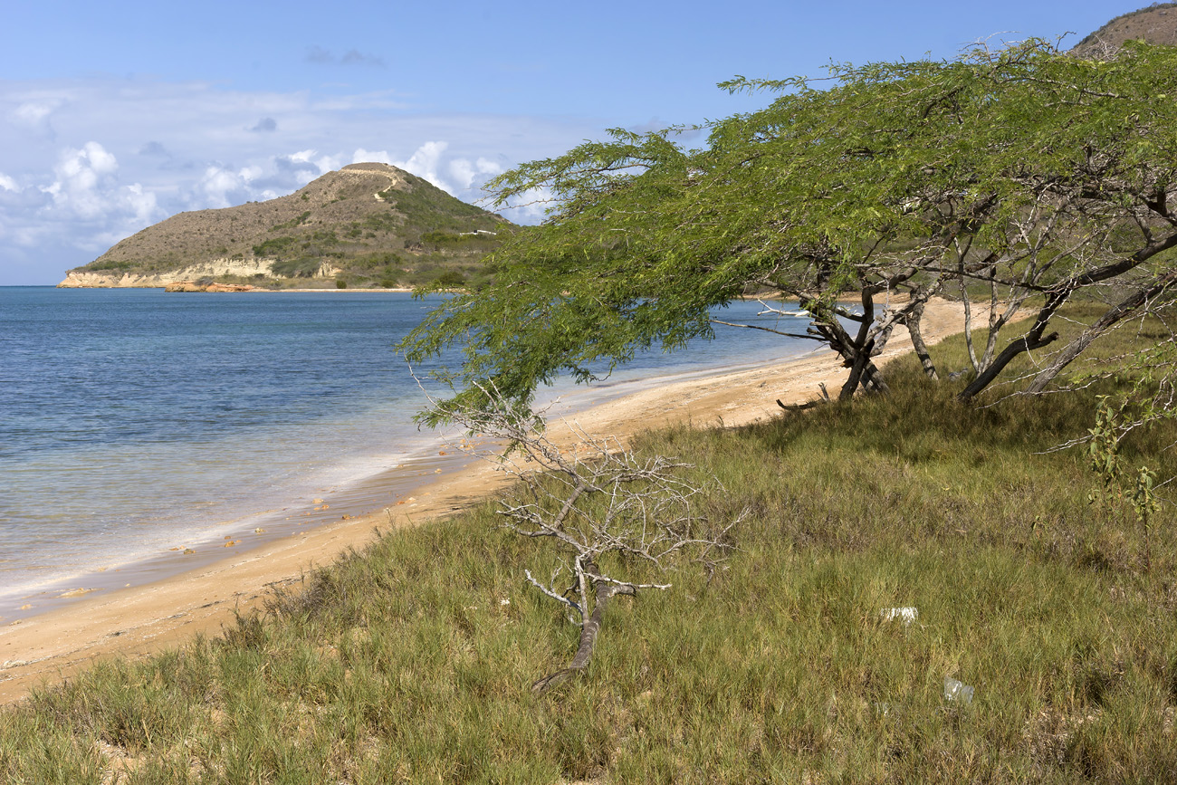 repdom14-01-23_015.jpg - République Dominicaine, janvier 2014 autour de San Fernando de Montecristi