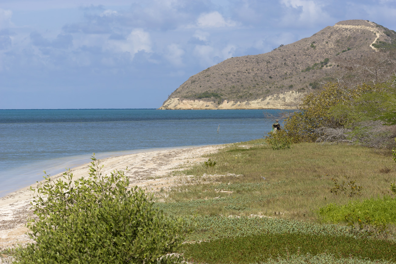 repdom14-01-23_031.jpg - République Dominicaine, janvier 2014 côte ouest entre El Morro de Montecristi et San Fernando