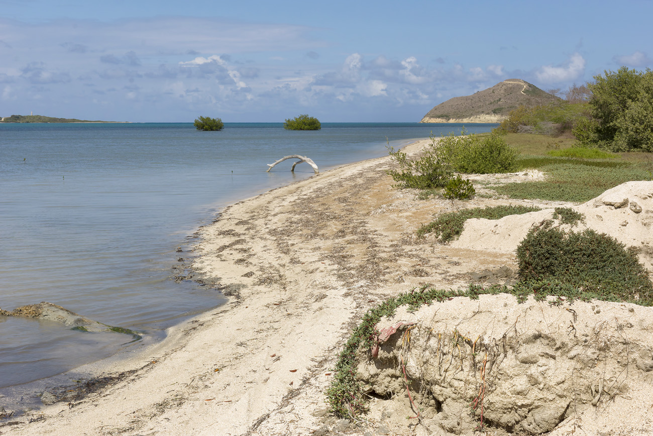 repdom14-01-23_034.jpg - République Dominicaine, janvier 2014 côte ouest entre El Morro de Montecristi et San Fernando