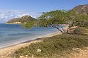 repdom14-01-23_016
