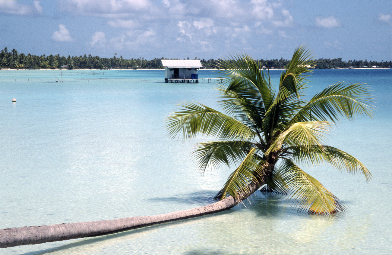 pol05_0155m.jpg - Tuamotu, Takapoto une vraie carte postale