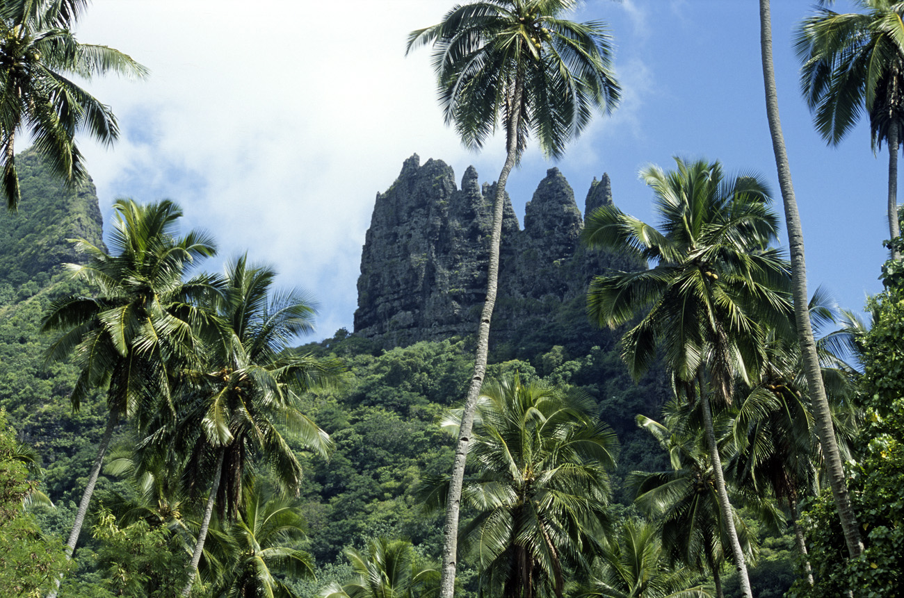 pol05_0630m.jpg - Iles Marquises, Nuku Hiva les pics qui dominent la baie d'Hatiheu