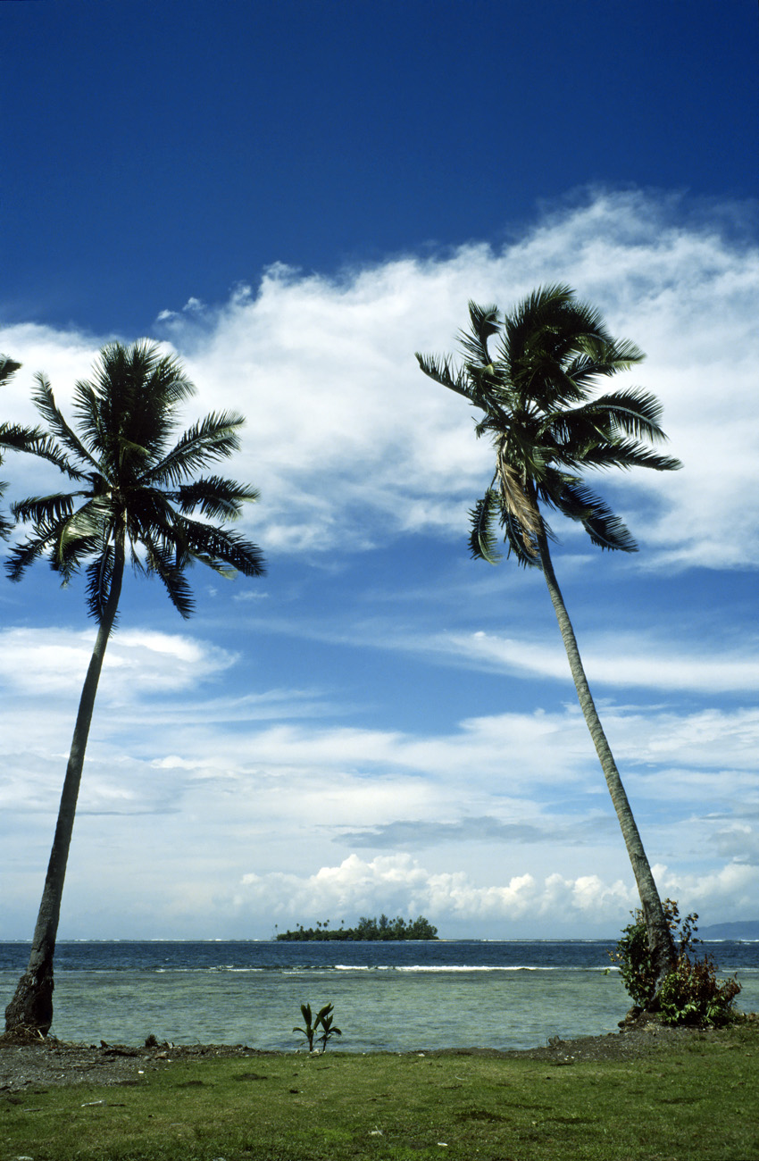 pol05_0880l.jpg - Iles de la Société, Moorea Motu Ahi