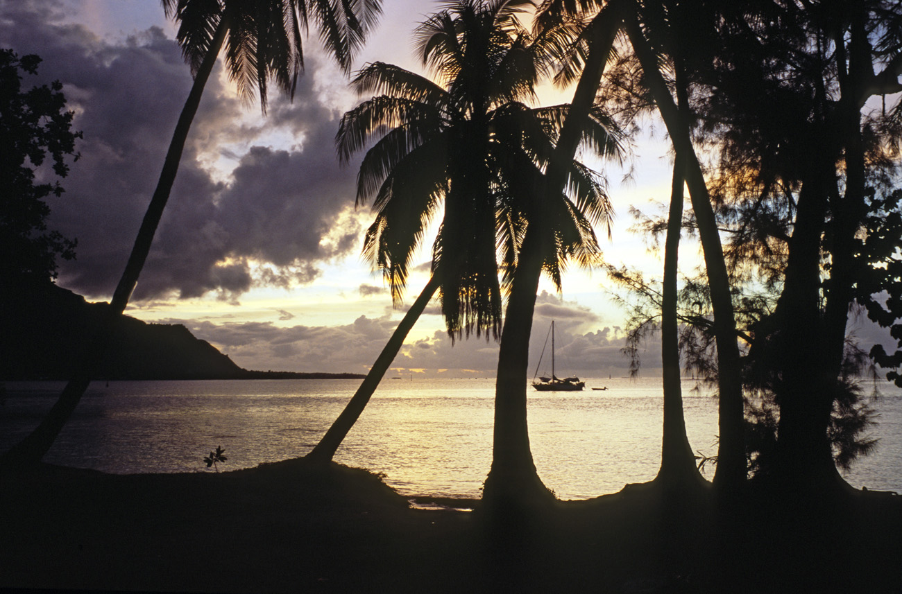 pol05_0932l.jpg - Iles de la Société, Moorea coucher de soleil sur la plage du pk 15, entre les deux baies de Cook et d'Opunohu