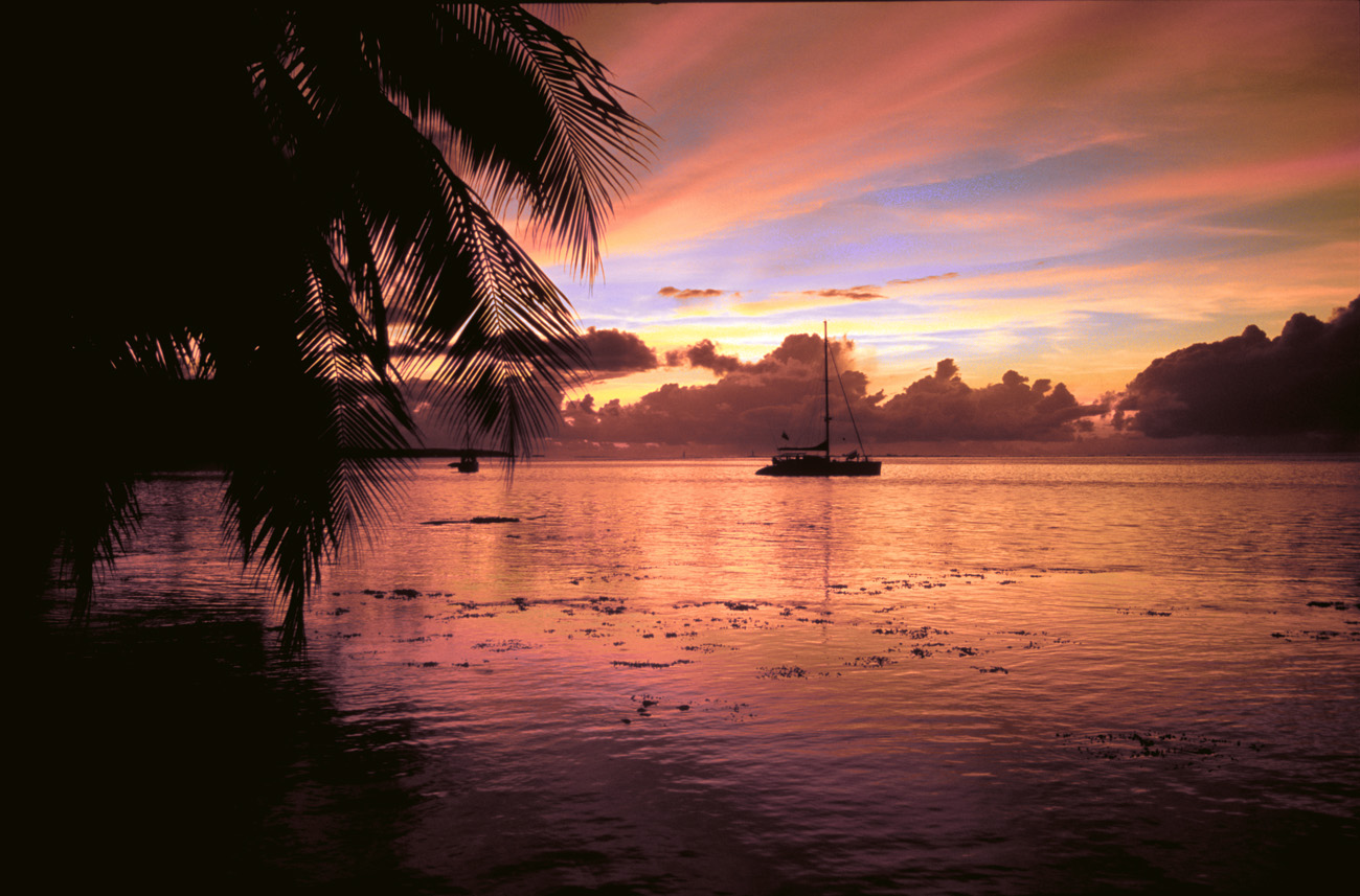 pol05_0933l.jpg - Iles de la Société, Moorea pk 15, entre les deux baies de Cook et d'Opunohu : embrasement extraordinaire environ 10 minutes après le coucher du soleil