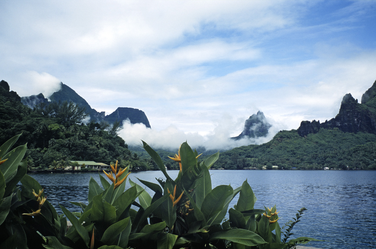 pol05_0941l.jpg - Iles de la Société, Moorea baie de Cook