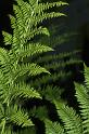 fr08-07-16_008m
