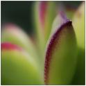 fr09-05-26_017-c