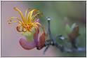 fr09-06-16_016-z